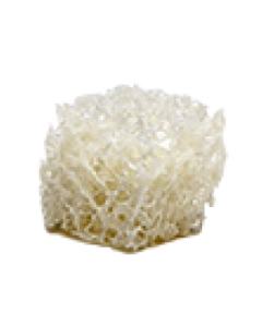 OraGraft ® Cancellous Blocks and Cubes